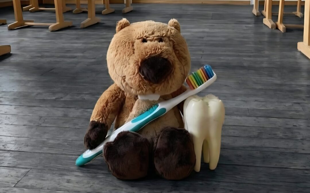 Müssen Biber Zähne putzen?