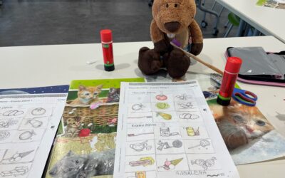 Müssen Biber Zähne putzen?