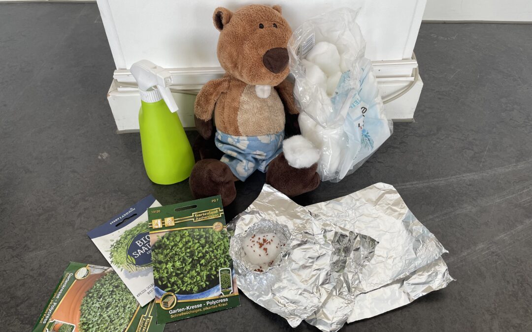 Was wächst denn hier?