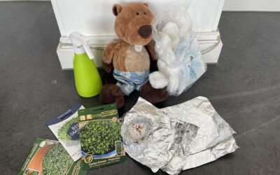 Was wächst denn hier?