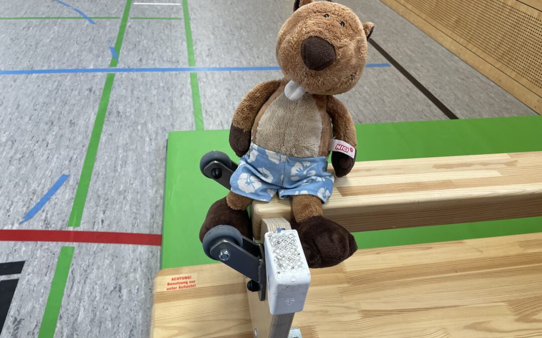 Sport macht müde Biber munter