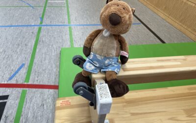 Startseite 7 Sport macht müde Biber munter