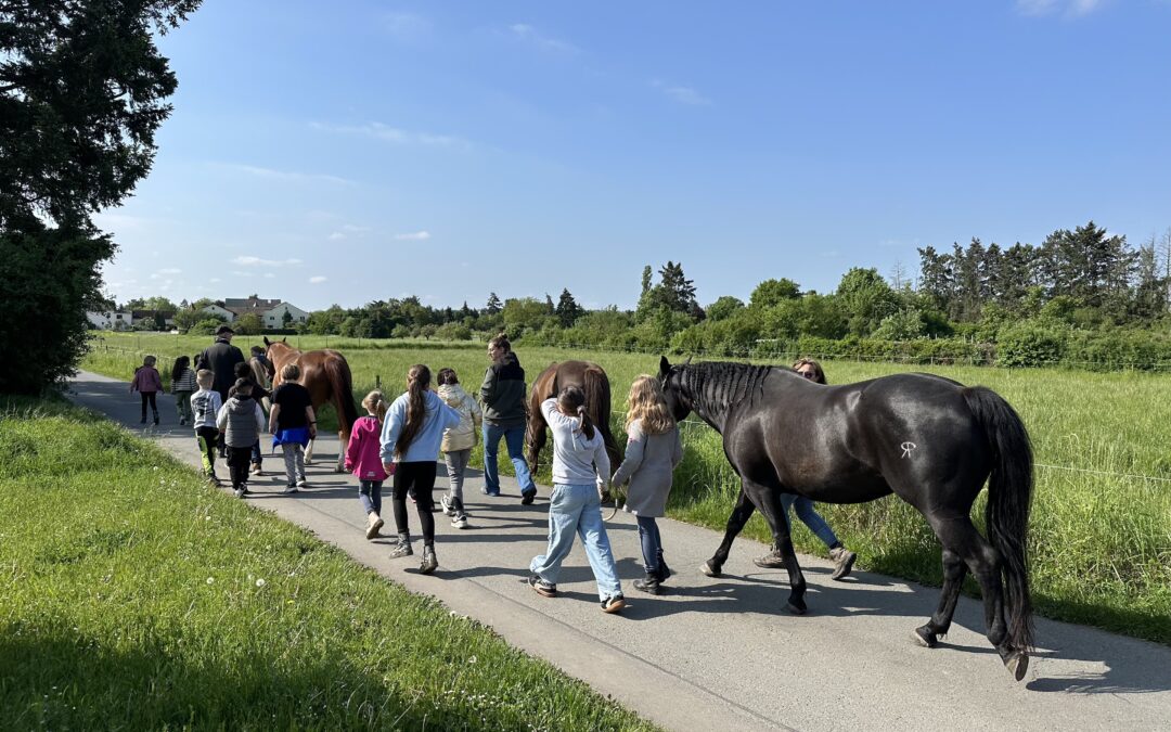Pferdehaltung hautnah erlebt